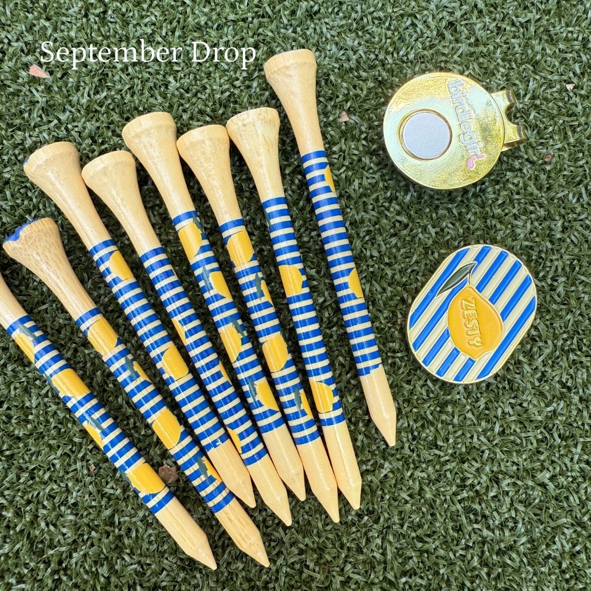 Golf Ball Markers in Monthly Subscription The Clubhouse Collection by Birdie Girl Golf