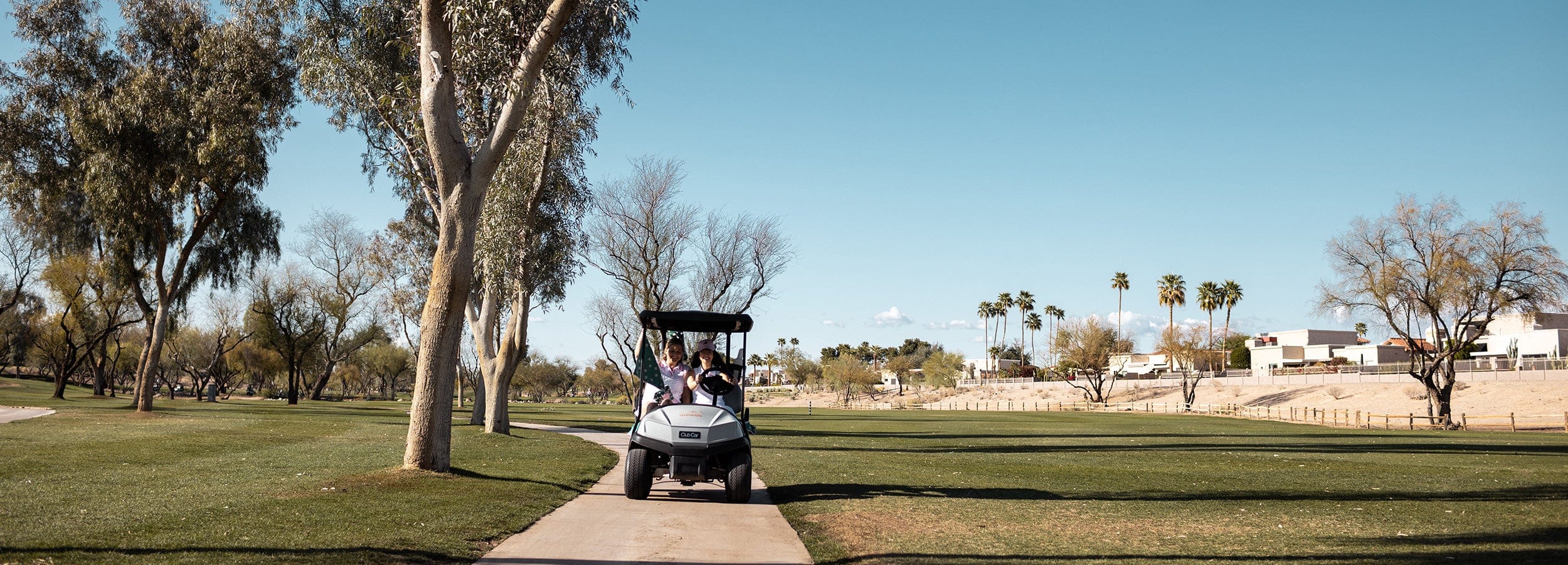 Women's golf cart accessories header banner by Birdie Girl